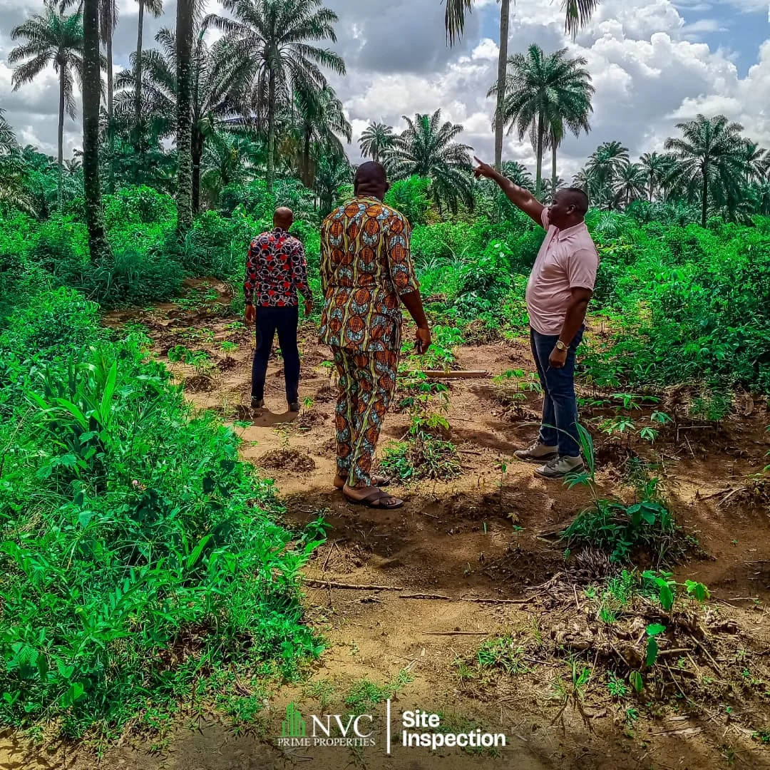 Home snapinsta.to 516750441 17910476550178053 6783535165079187870 n