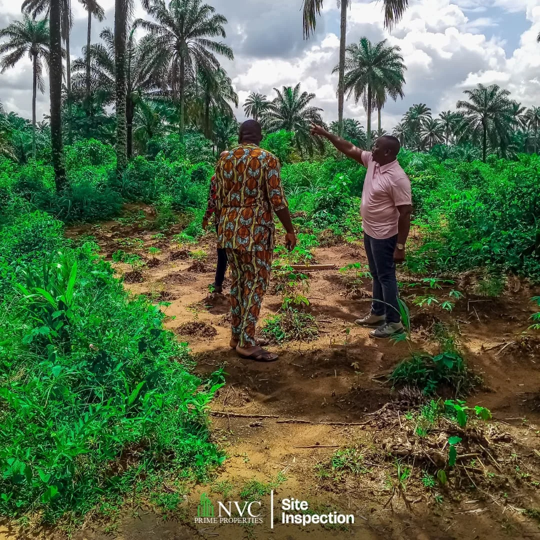 Home snapinsta.to 518155762 17910476589178053 3987797126916858435 n